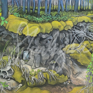 Shirleyan Price Green Water Reflection