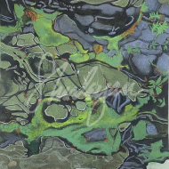 Shirleyan Price Tree Reflection Water